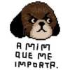 Sr. Bruno Aleixo 6