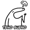 Ex
TENO SUEÑO