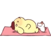 Muffin Jai 2 (Pompompurin) 7