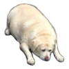 Ultimate Dog Pack 18