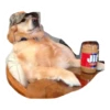 16
Jif