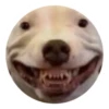 Ultimate Dog Pack 20