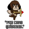 Sr. Bruno Aleixo 8