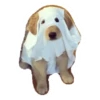 Ultimate Dog Pack 21