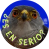 Conoce más fauna amazónica en www.sinchi.org.co 10