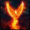 aves fénix 21