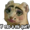 Memes que te faltan #1 20