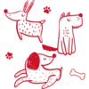 Pet World 24