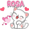 Cats Names 1 & Clásica 26