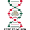 México en la Piel 24