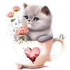 Gatitos 1 Clásica 23