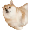 Dogs 5