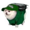 rab