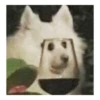 Ultimate Dog Pack 27