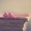 pink love 30