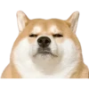 Dogs 6