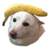 Ultimate Dog Pack 30
