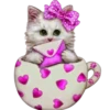 Gatitos 2 Clásica 6