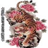 Tigre 5
