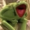 kermit the frog 5