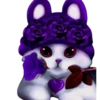 Gatitos 2 Clásica 8