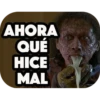 AHORA
QUÉ
HICE
MAL