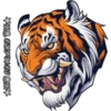 Tigre 6