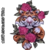 Tigre 7
