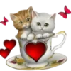 Gatitos 2 Clásica 10