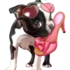 Perritos bonitos 1 Clásica 6