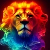 LIONS COLORS MIX 9