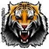 Tigre 8