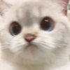 Zuzu & Nana Reactions 6