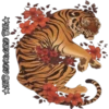 Tigre 9
