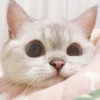 Zuzu & Nana Reactions 7