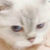 Zuzu & Nana Reactions 8
