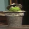 kermit the frog 7