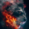 LIONS COLORS MIX 11