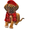 Perritos bonitos 1 Clásica 8