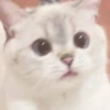 Zuzu & Nana Reactions 9