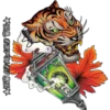 Tigre 11
