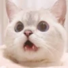 Zuzu & Nana Reactions 10