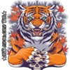 Tigre 12