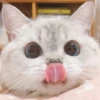 Zuzu & Nana Reactions 11
