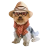 Perritos bonitos 1 Clásica 9