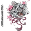 Tigre 13