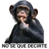 STICKERS MONITOS CLÁSICA 9