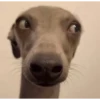 reaction pics 5