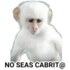 STICKERS MONITOS CLÁSICA 10