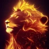 LIONS COLORS MIX 13